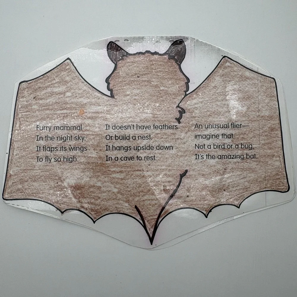 Vintage‎ Migration Vacation Bats Birds Classroom Teaching Aids Laminated Lot